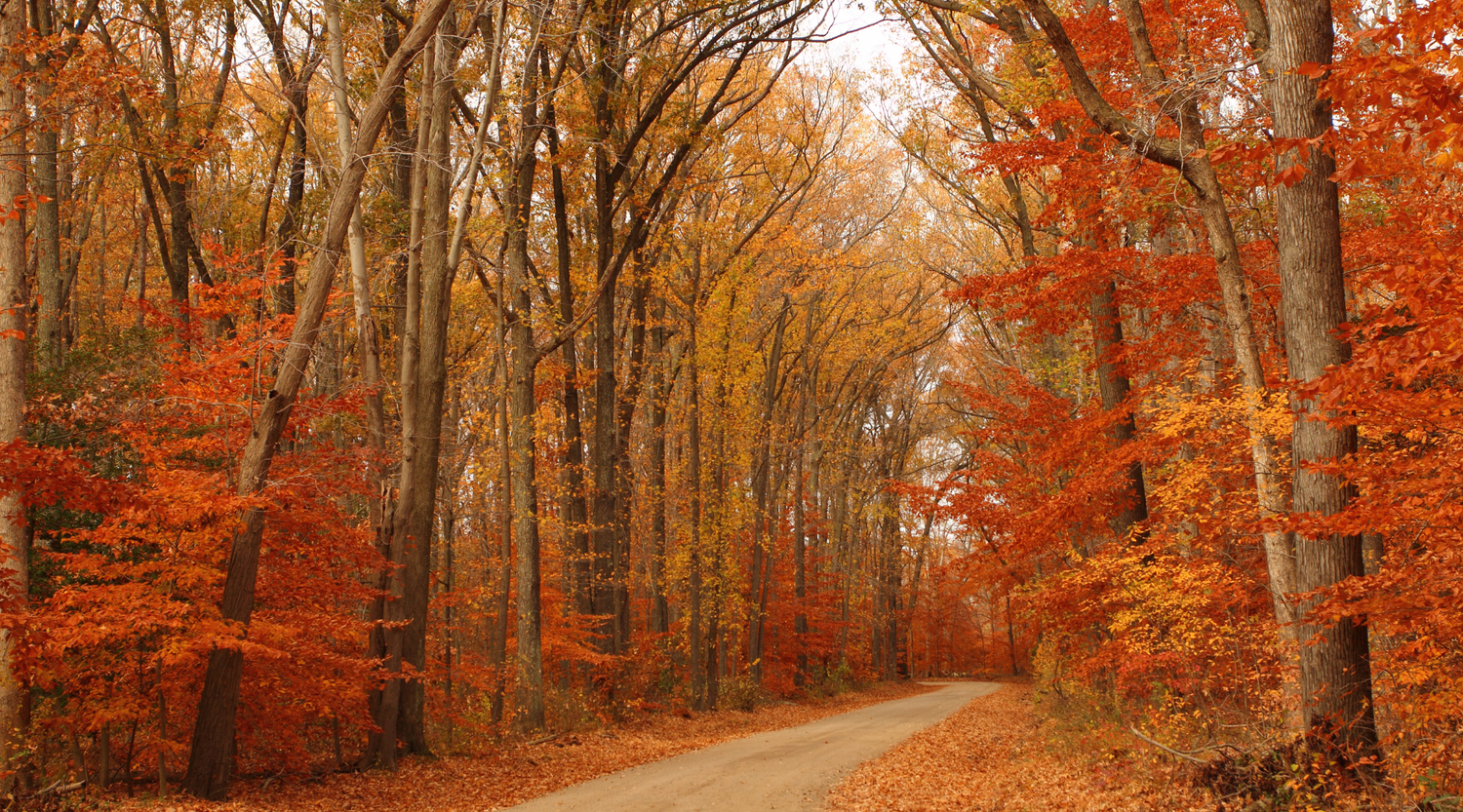 Hello, Autumn: Caring for Eczema as Summer Winds Down